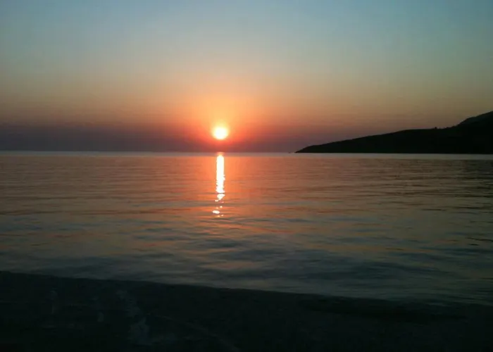 Panayota Kassiopi
